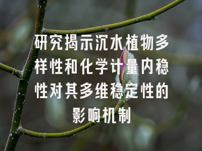 研究揭示沉水植物多样性和化学计量内稳性对其多维稳定性的影响机制