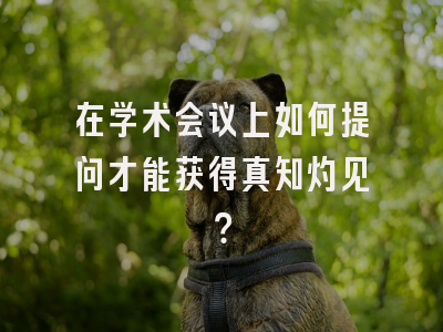 在学术会议上如何提问才能获得真知灼见？