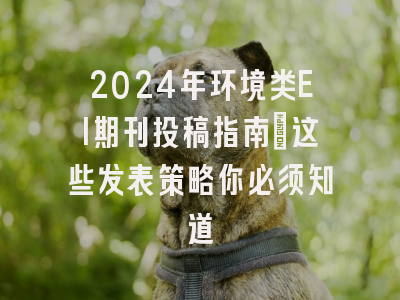 2024年环境类EI期刊投稿指南：这些发表策略你必须知道