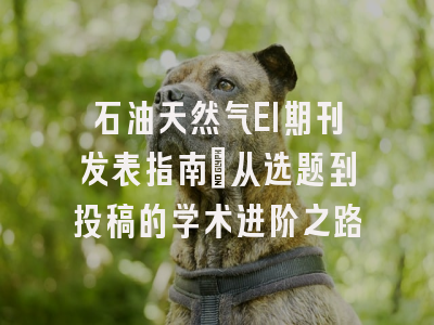 石油天然气EI期刊发表指南：从选题到投稿的学术进阶之路