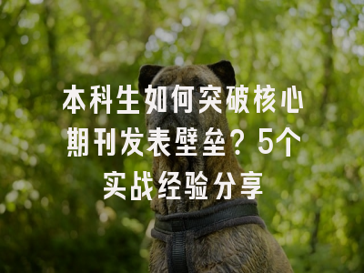 本科生如何突破核心期刊发表壁垒？5个实战经验分享