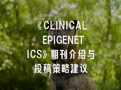 《CLINICAL EPIGENETICS》期刊介绍与投稿策略建议