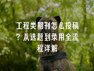 工程类期刊怎么投稿？从选题到录用全流程详解