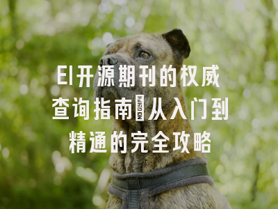 EI开源期刊的权威查询指南：从入门到精通的完全攻略