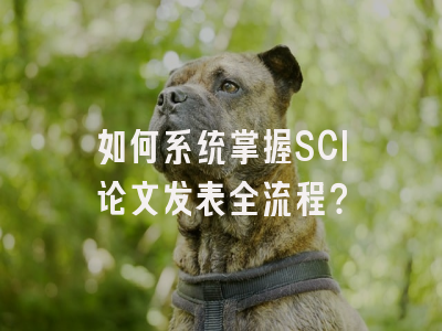 如何系统掌握SCI论文发表全流程？