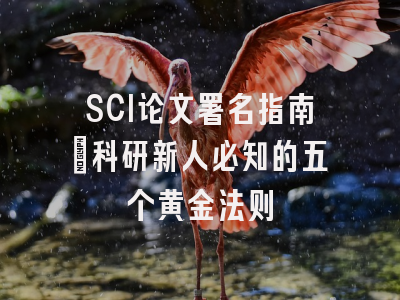 SCI论文署名指南：科研新人必知的五个黄金法则