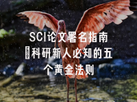 学术会议在线