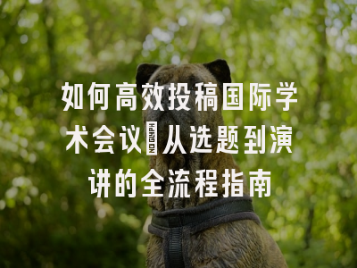如何高效投稿国际学术会议：从选题到演讲的全流程指南