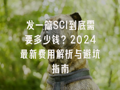 发一篇SCI到底需要多少钱？2024最新费用解析与避坑指南