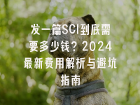 学术会议在线