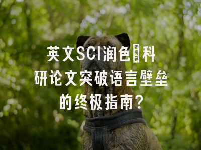 英文SCI润色：科研论文突破语言壁垒的终极指南？