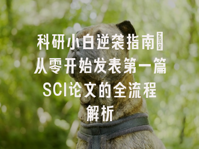 科研小白逆袭指南：从零开始发表第一篇SCI论文的全流程解析