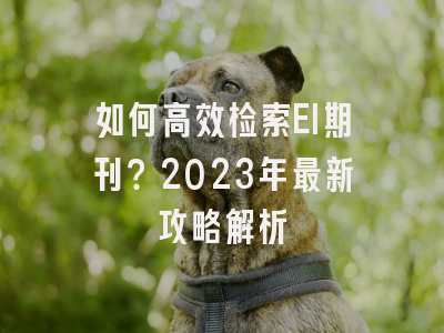 如何高效检索EI期刊？2023年最新攻略解析
