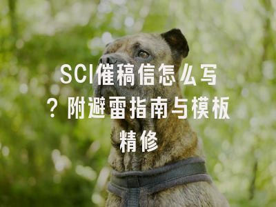 SCI催稿信怎么写？附避雷指南与模板精修