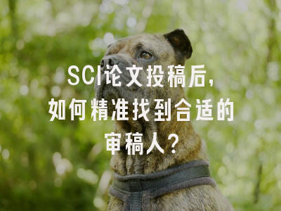 SCI论文投稿后，如何精准找到合适的审稿人？