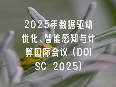 2025年数据驱动优化、智能感知与计算国际会议（DOISC 2025）