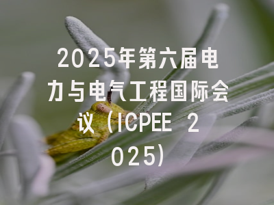 2025年第六届电力与电气工程国际会议（ICPEE 2025）