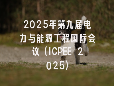 2025年第九届电力与能源工程国际会议（ICPEE 2025）