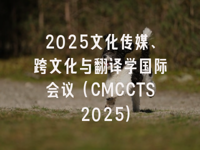 2025文化传媒、跨文化与翻译学国际会议（CMCCTS 2025）