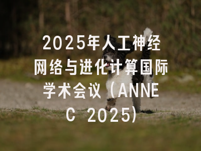 2025年人工神经网络与进化计算国际学术会议（ANNEC 2025）