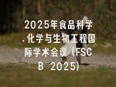2025年食品科学、化学与生物工程国际学术会议（FSCB 2025）