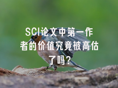 SCI论文中第一作者的价值究竟被高估了吗？