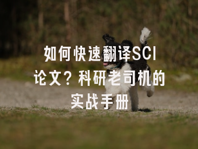 如何快速翻译SCI论文？科研老司机的实战手册
