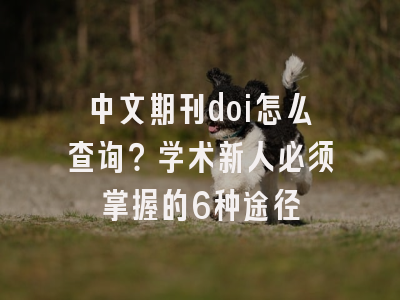 中文期刊doi怎么查询？学术新人必须掌握的6种途径