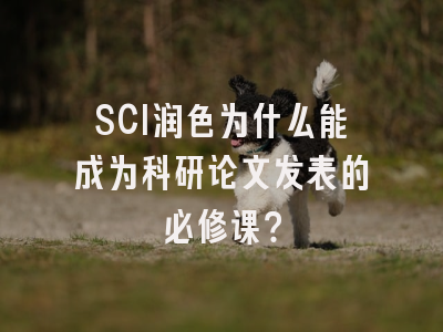 SCI润色为什么能成为科研论文发表的必修课？