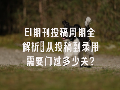 EI期刊投稿周期全解析：从投稿到录用需要闯过多少关？