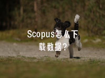 Scopus怎么下载数据？