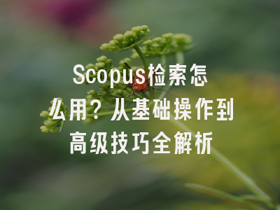 Scopus检索怎么用？从基础操作到高级技巧全解析