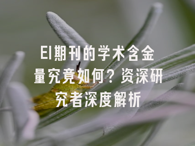 EI期刊的学术含金量究竟如何？资深研究者深度解析