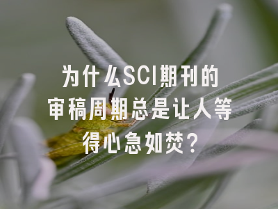 为什么SCI期刊的审稿周期总是让人等得心急如焚？
