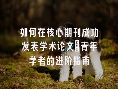 如何在核心期刊成功发表学术论文：青年学者的进阶指南