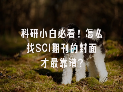 科研小白必看！怎么找SCI期刊的封面才最靠谱？
