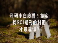 学术会议在线
