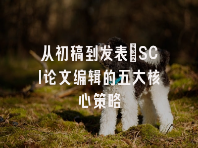 从初稿到发表：SCI论文编辑的五大核心策略