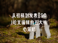 学术会议在线
