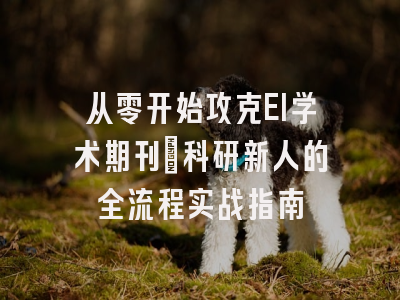 从零开始攻克EI学术期刊：科研新人的全流程实战指南