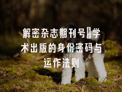 解密杂志期刊号：学术出版的身份密码与运作法则