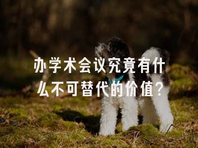 办学术会议究竟有什么不可替代的价值？