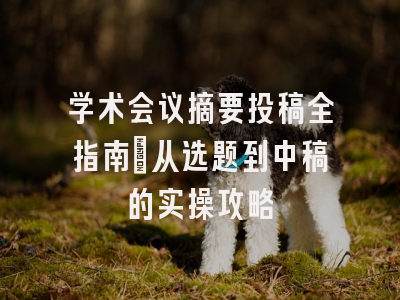 学术会议摘要投稿全指南：从选题到中稿的实操攻略