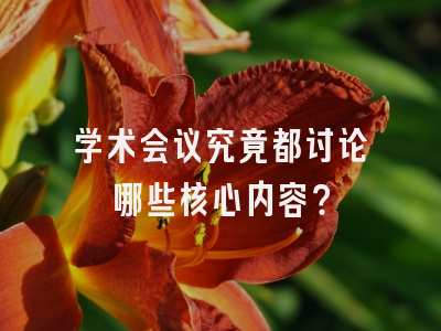 学术会议究竟都讨论哪些核心内容？