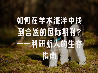如何在学术海洋中找到合适的国际期刊？——科研新人的生存指南