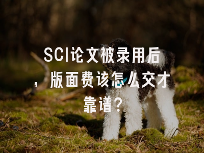 SCI论文被录用后，版面费该怎么交才靠谱？