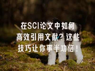 在SCI论文中如何高效引用文献？这些技巧让你事半功倍！
