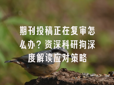 期刊投稿正在复审怎么办？资深科研狗深度解读应对策略
