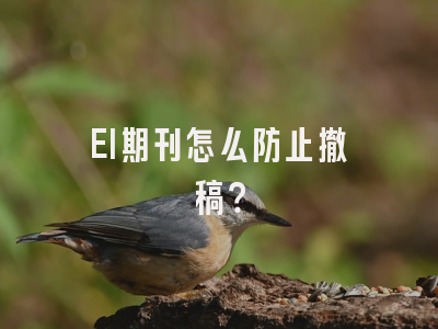 EI期刊怎么防止撤稿？