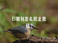 学术会议在线